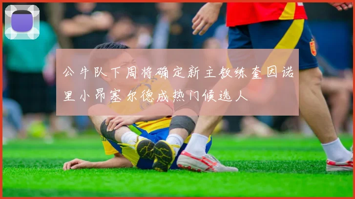 公牛队下周将确定新主教练奎因诺里小昂塞尔德成热门候选人